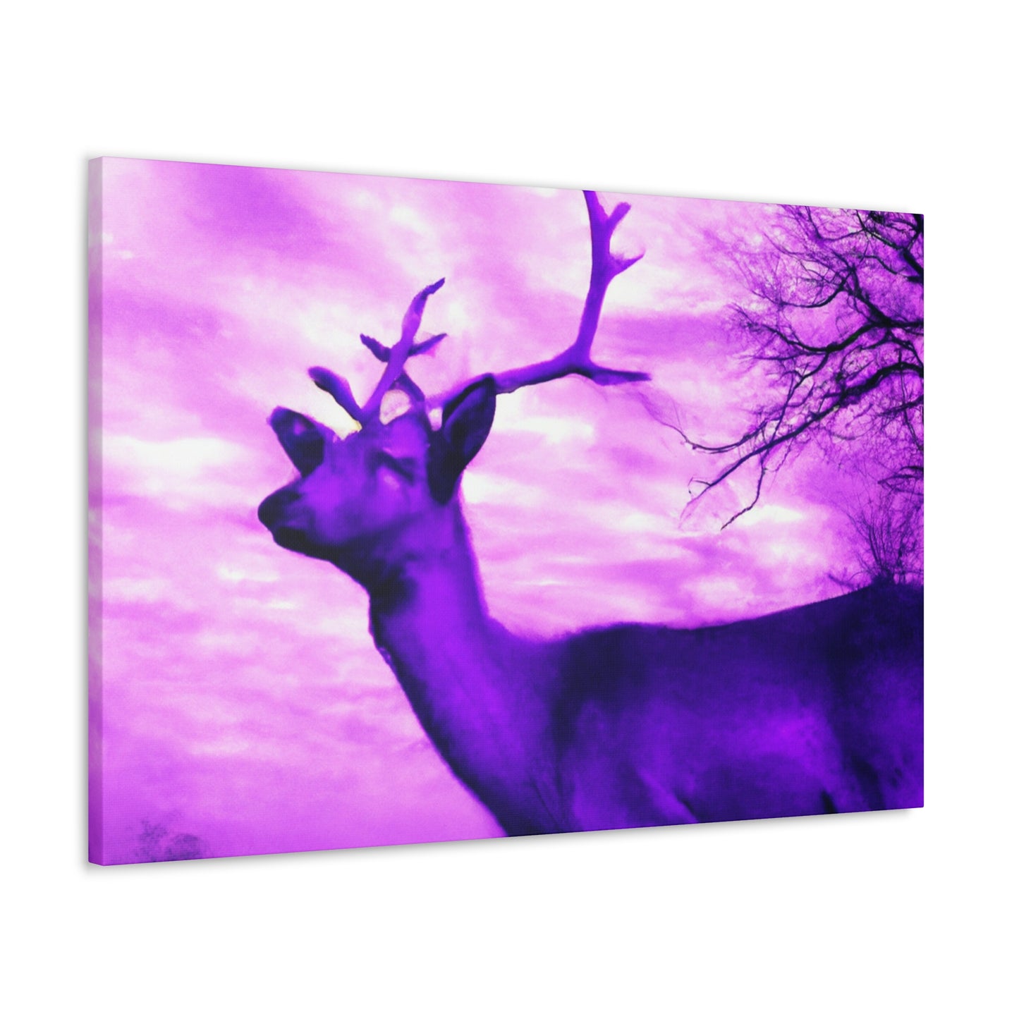 Purple King. - Canvas - Wildlife