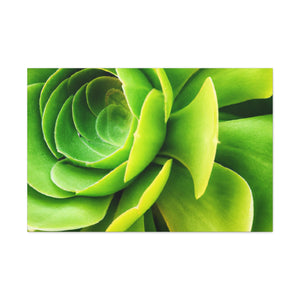 Neon Life. - Canvas - Succulent