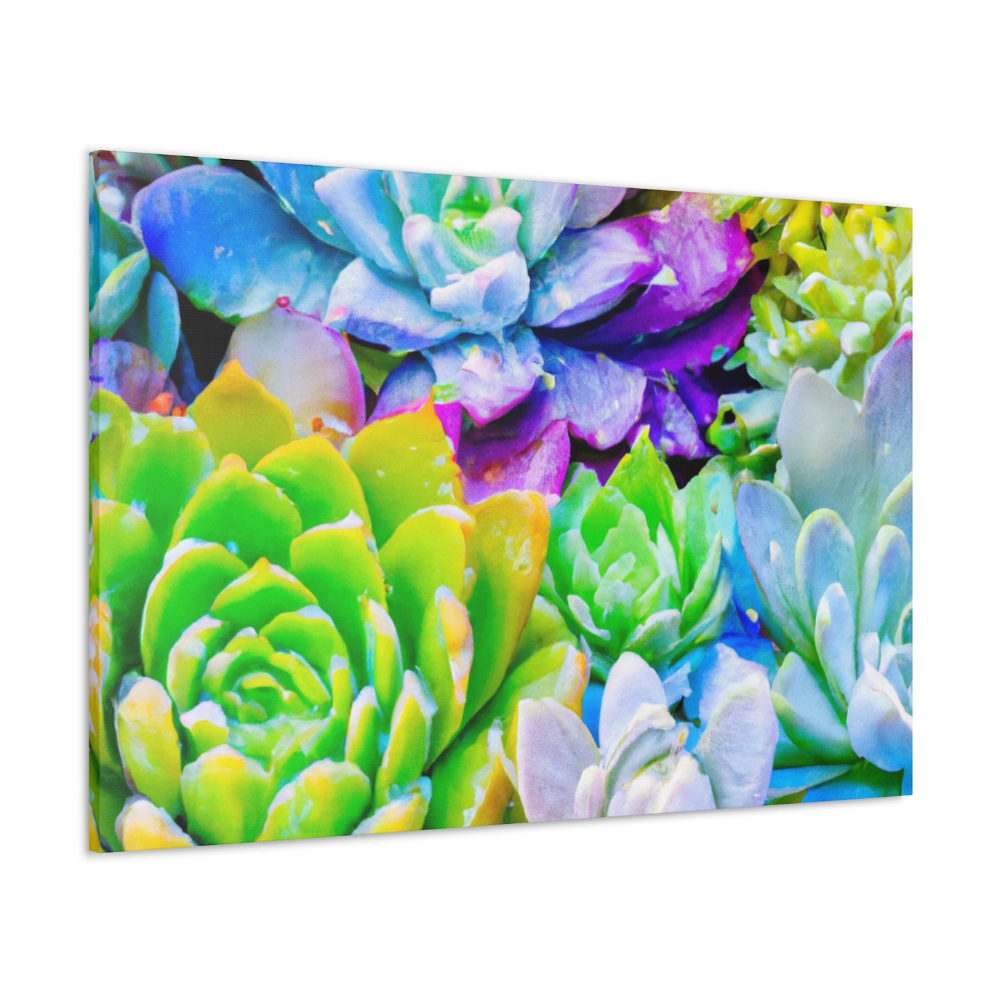 Garden of Bright Delights - Canvas - Succulent