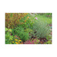 Summertime Garden Dance. - Canvas - Floral