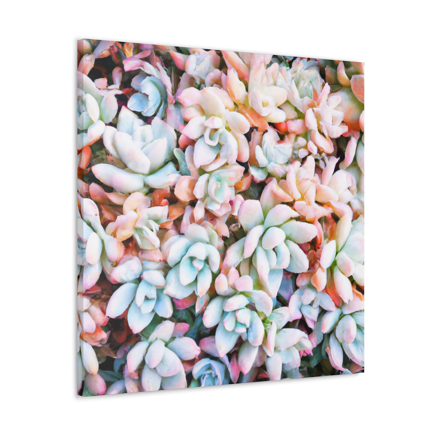 Floral Bouquet in the Garden. - Canvas - Succulent