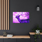 Purple King. - Canvas - Wildlife