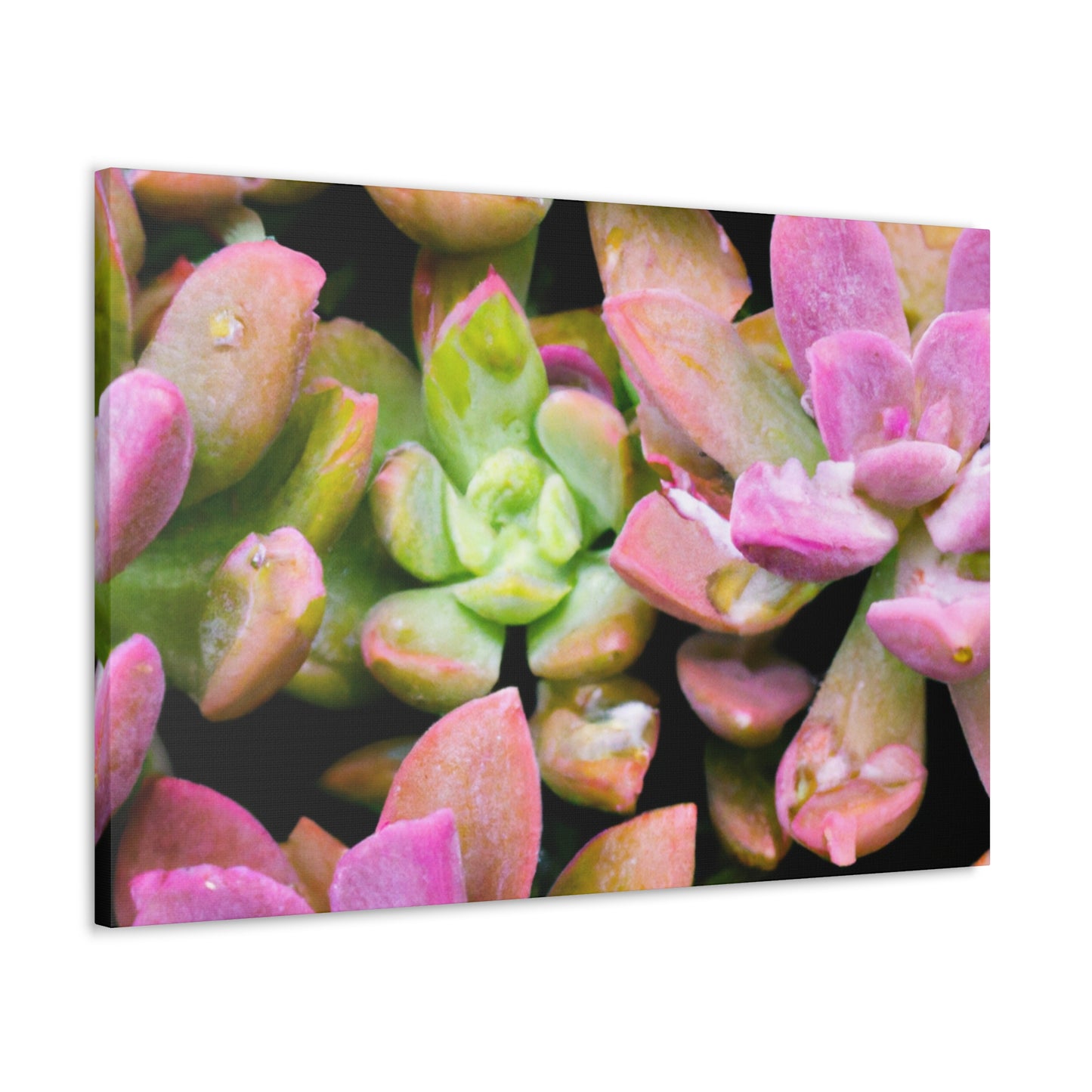 Blooming Garden Delight - Canvas - Succulent