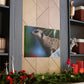 Peekaboo Crittter- Canvas - Wildlife