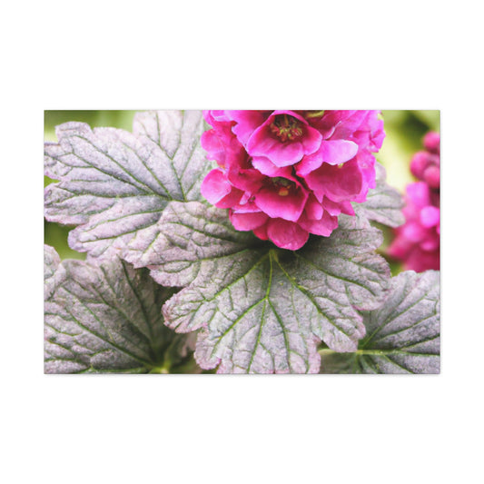 "Garden Fountain Fantasia" - Canvas - Floral