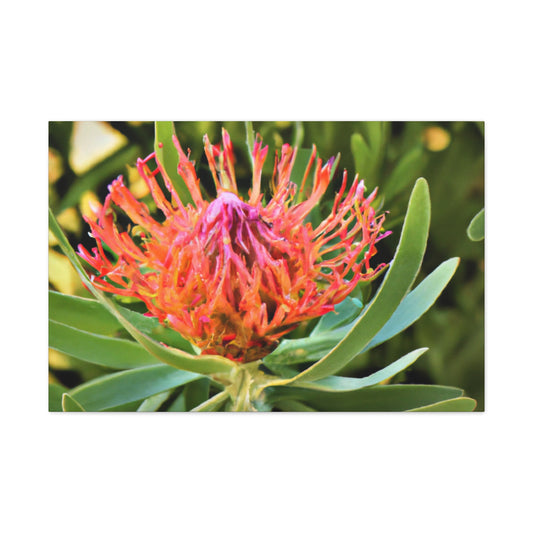 Floral Scroll Garden Print - Canvas - Floral