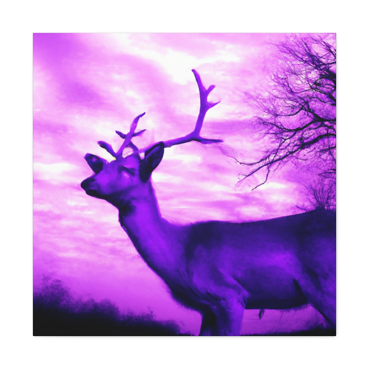 Purple King. - Canvas - Wildlife