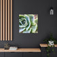 Garden of Delights - Canvas - Succulent