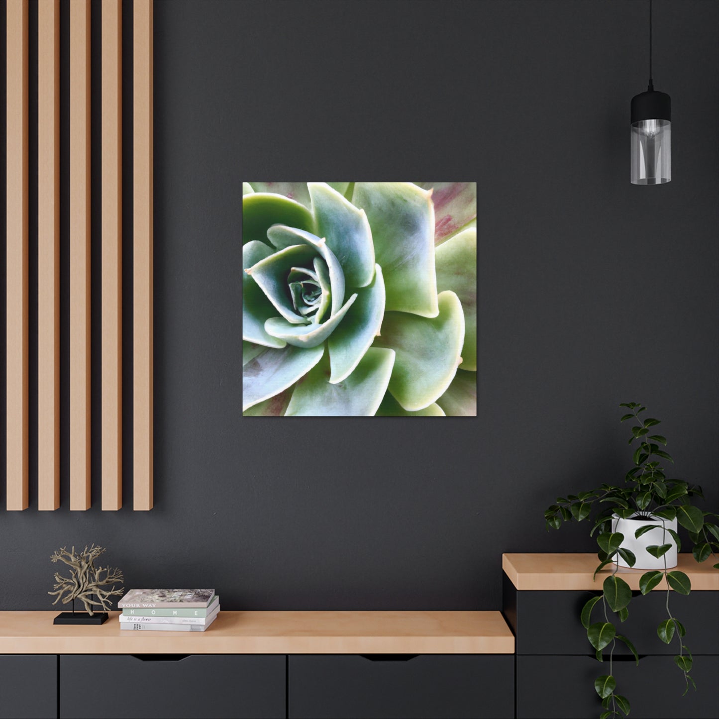 Garden of Delights - Canvas - Succulent