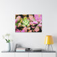 Blooming Garden Delight - Canvas - Succulent