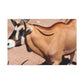Stripespike. - Canvas Wildlife
