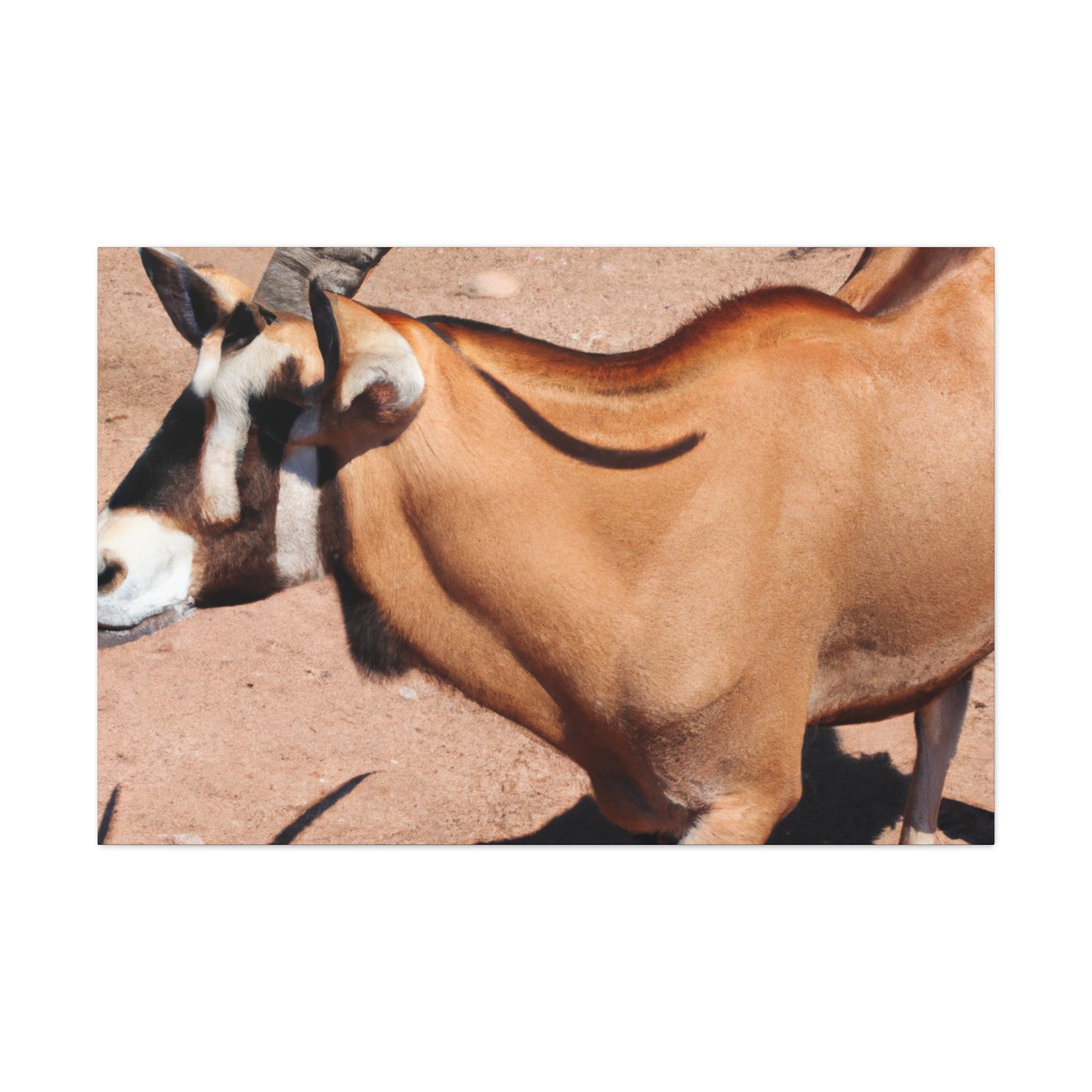 Stripespike. - Canvas Wildlife