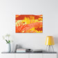 SandSkyTide Landscape - Canvas