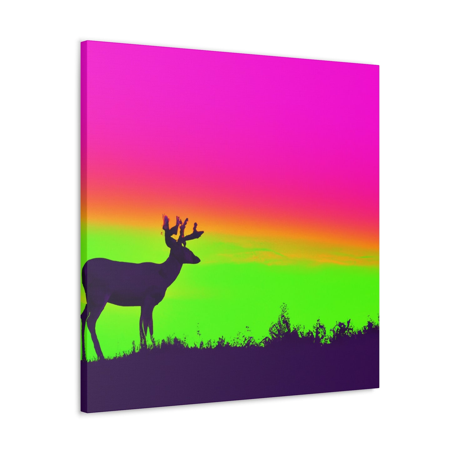 Stud Neon Sky. - Wildlife Canvas