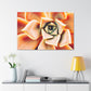 "Melon Symphony" - Canvas - Succulent