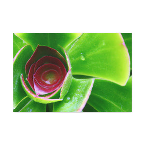 Pandora of the Underworld - Canvas - Succulent