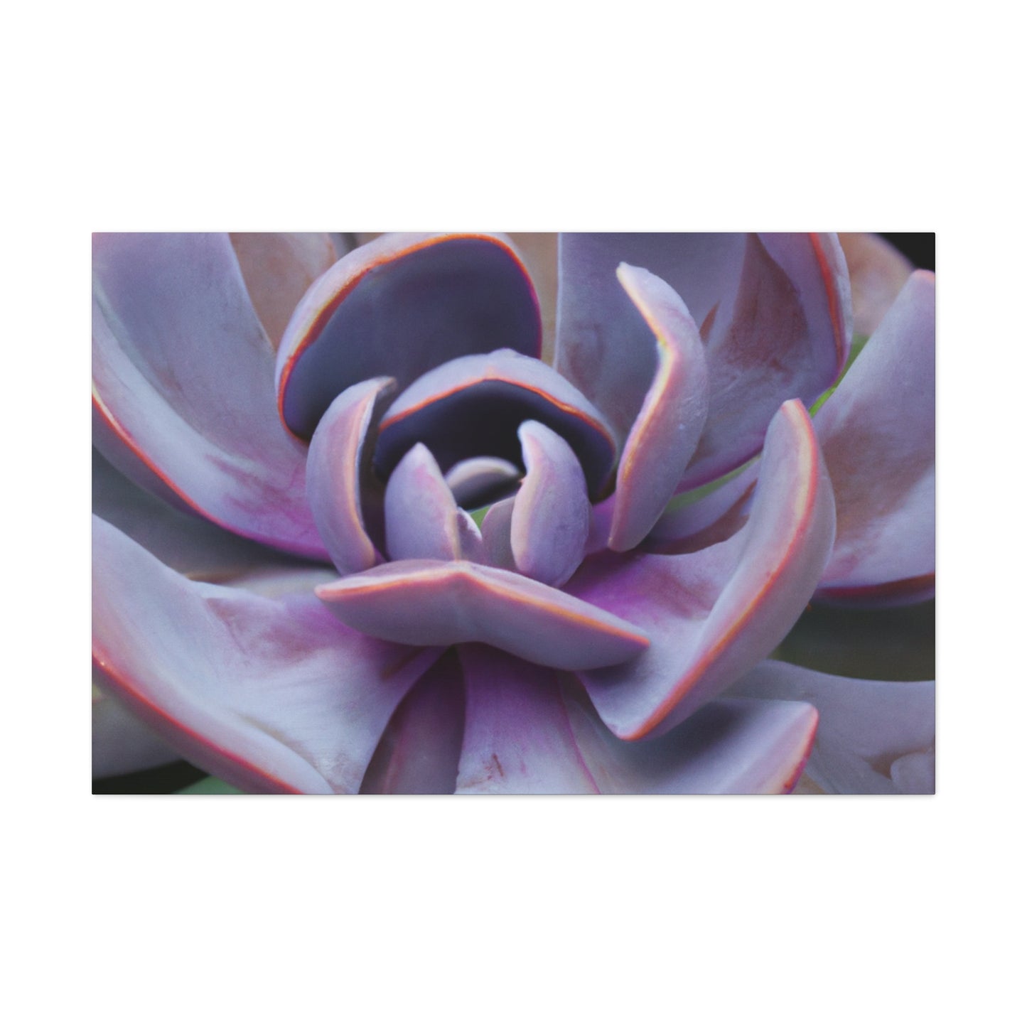 Aeolus, the Keeper of the Winds. - Canvas - Succulent