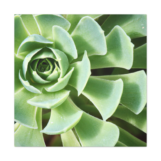 "Garden Gala" - Canvas - Succulent