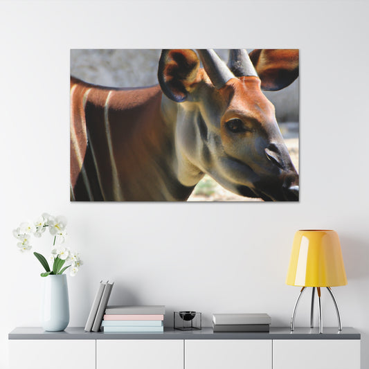 Elk Face- Canvas Wildlife