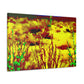 DuneScape- Landscape - Canvas