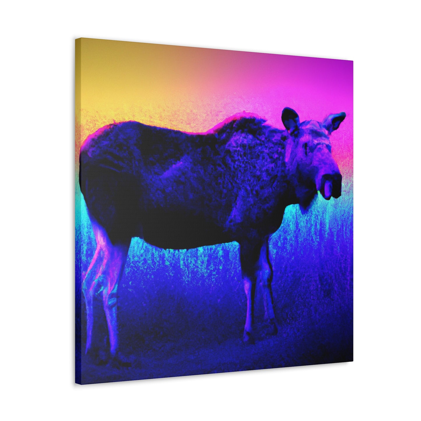 Furry Observer. - Canvas - Wildlife
