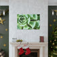 "Garden Gala" - Canvas - Succulent