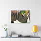 Rhino Head - Canvas - Wildlife