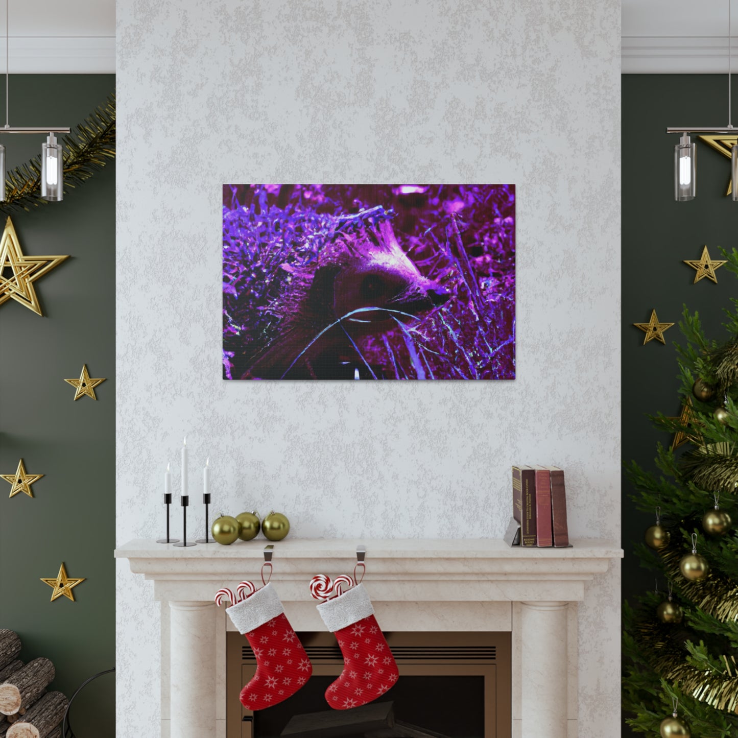 Purple Porcipine. - Canvas - Wildlife
