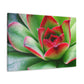 Ariadne of the Red Thread. - Canvas - Succulent