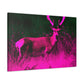 Pink Steer - Canvas - Wildlife