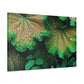 Hector - Canvas - Floral