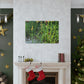 Blooming Floral Garden - Floral Canvas
