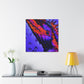 Bottle-tailed Hummingbird. - Canvas - Wildlife