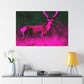 Pink Steer - Canvas - Wildlife