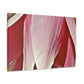 Pink Elder - Canvas - Floral