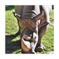 Climbing Zorton! - Canvas - Wildlife