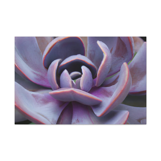 Aeolus, the Keeper of the Winds. - Canvas - Succulent