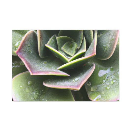 "Garden of Plenty." - Canvas - Succulent