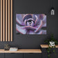 Aeolus, the Keeper of the Winds. - Canvas - Succulent