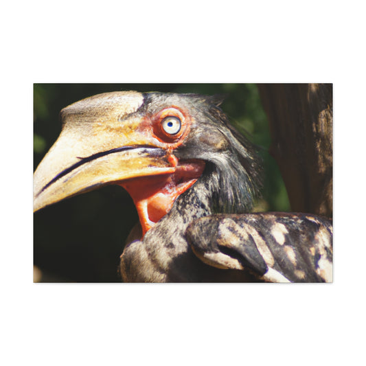 Scary Feathers - Canvas - Wildlife