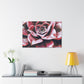 Odysseus. - Canvas - Succulent