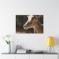 Elky Horn - Canvas Wildlife