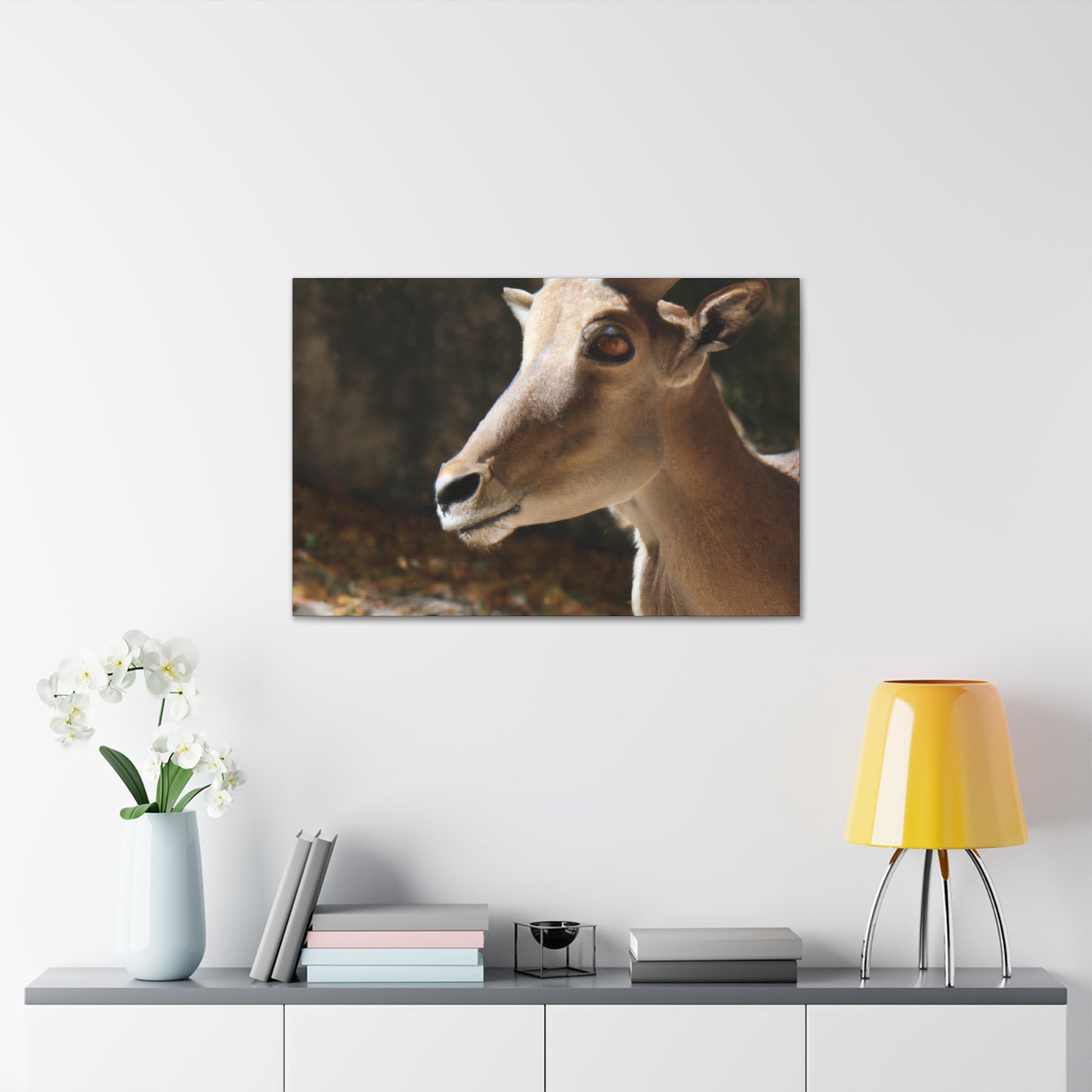 Elky Horn - Canvas Wildlife