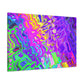 Wonder World - Canvas - Abstract