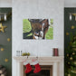 Climbing Zorton! - Canvas - Wildlife