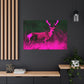 Pink Steer - Canvas - Wildlife