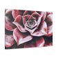 Odysseus. - Canvas - Succulent