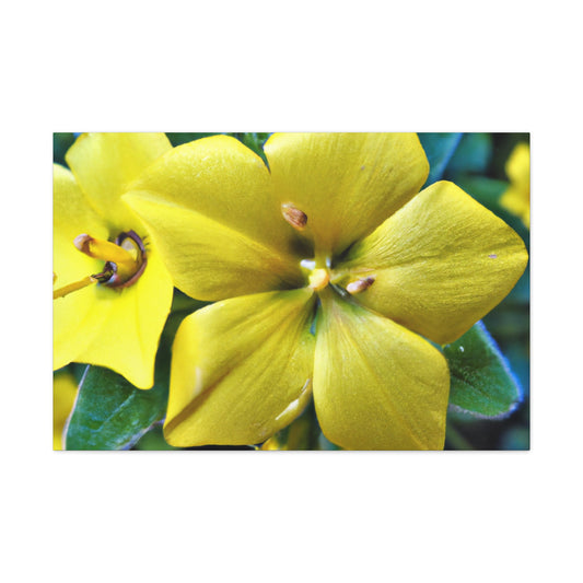 "Garden Wreath" - Canvas - Floral