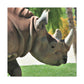 Rhino Head - Canvas - Wildlife