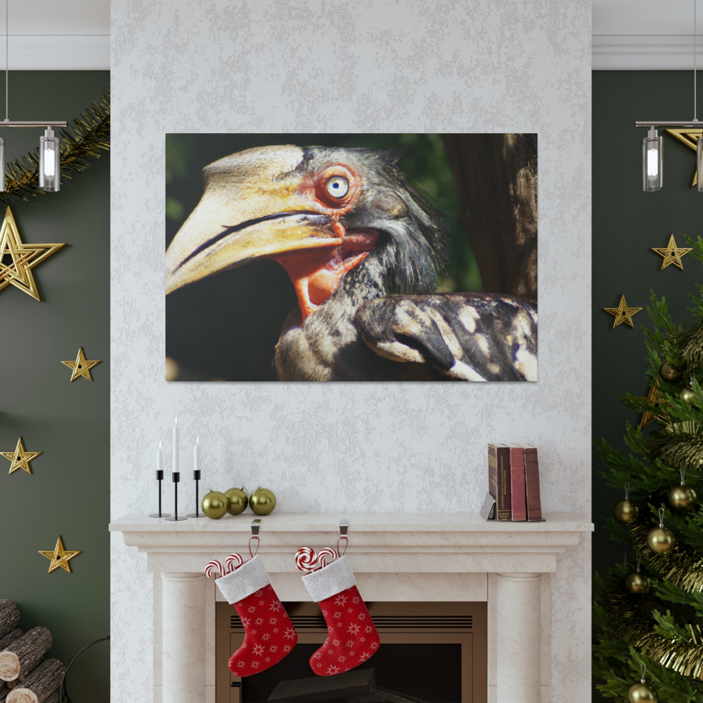 Scary Feathers - Canvas - Wildlife